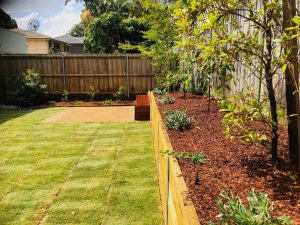 Treated timber retaining wall