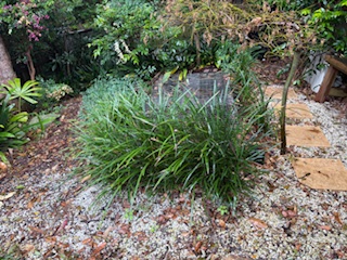 Garden-bed paving-steppers